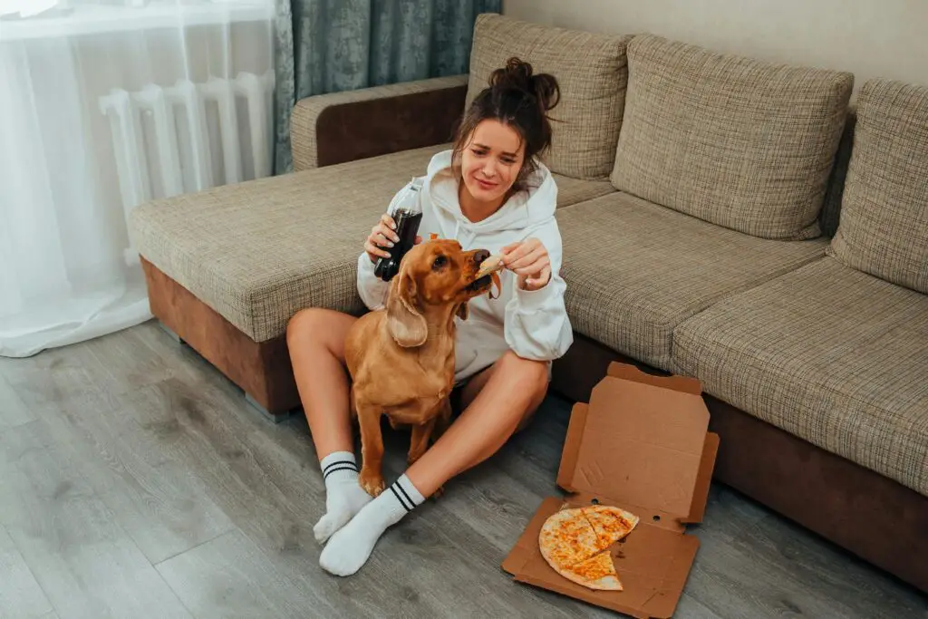 dog feeding the dog and eating pizza